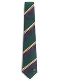 Green Blue Stripes Logo Tie 1