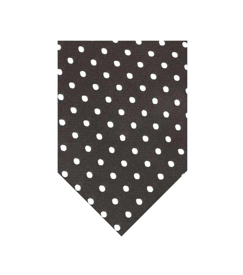 Brown Polka Dot Ties 2
