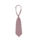 Light Purple Ascot Solid Tie 1