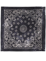 Black Paisley Scarf 1