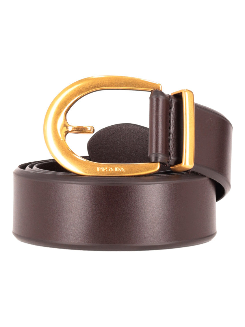 Dark Brown Logo Buckle Belt 2