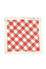 Red Checks Scarf 1