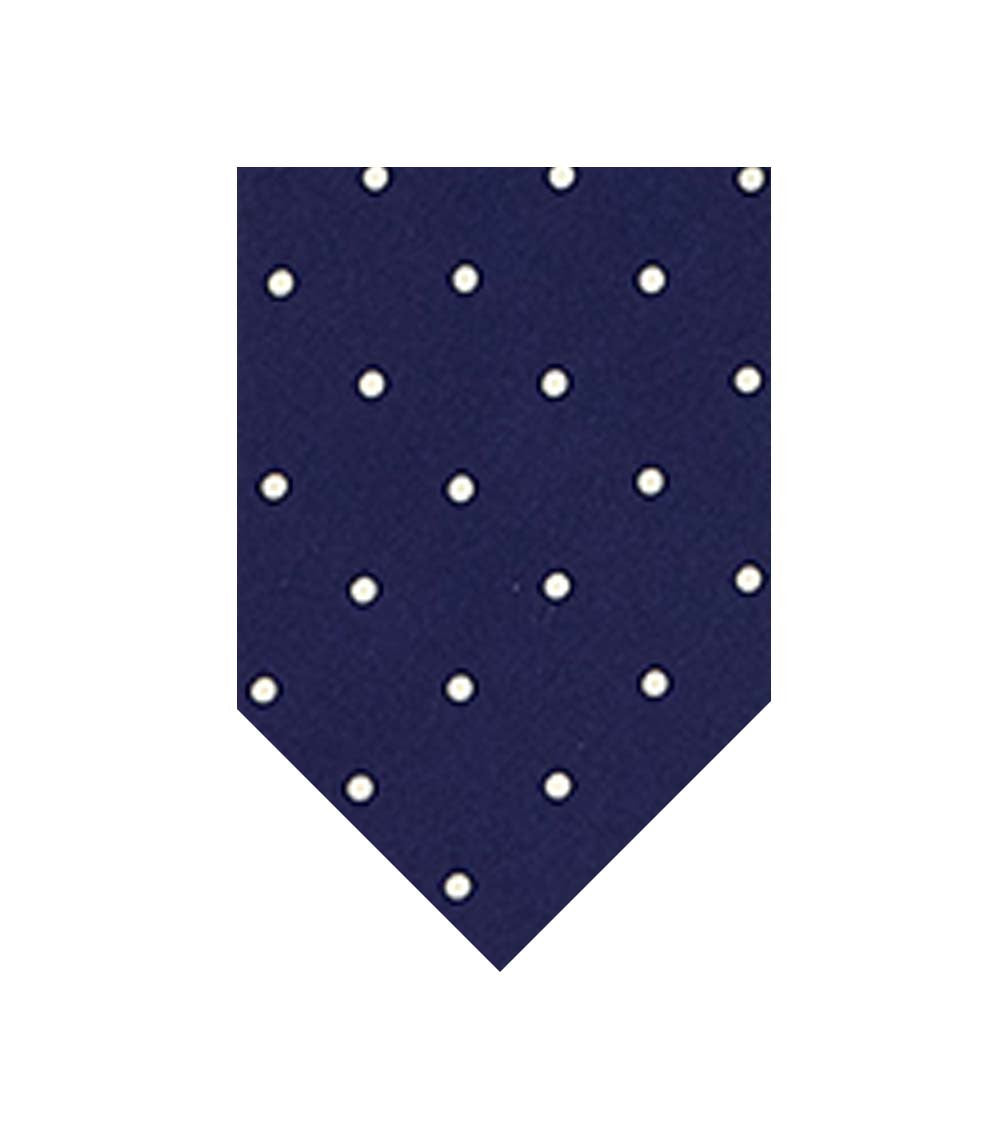 Blue Polka Dot Tie 1