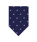 Blue Polka Dot Tie 1