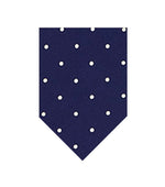 Blue Polka Dot Tie 1