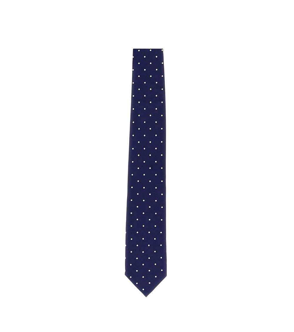 Blue Polka Dot Tie 2