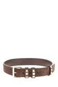 Brown Studded Buckle Belt 1