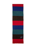 Multicolor Stripes Scarf 1