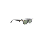 Black Cat Eye Sunglasses 1