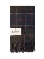 Multicolor Check Scarf 1