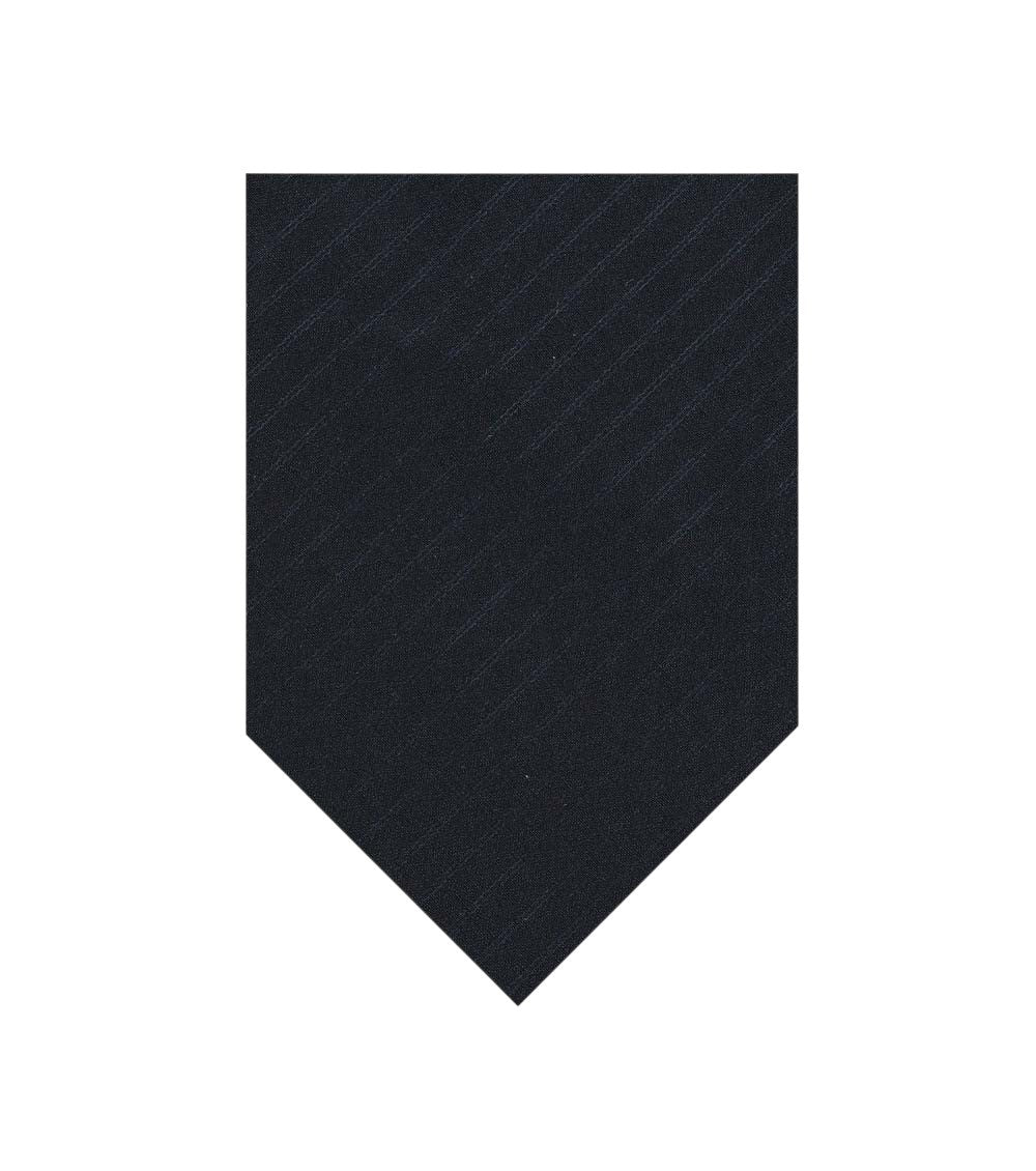 Blue Striped Tie 1