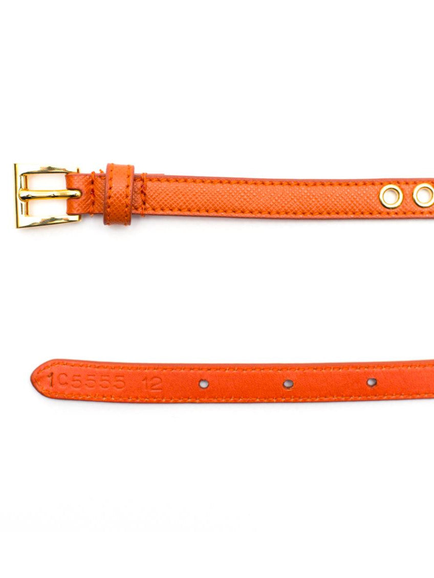 Orange Skinny Eyelet Embellished Belt 2