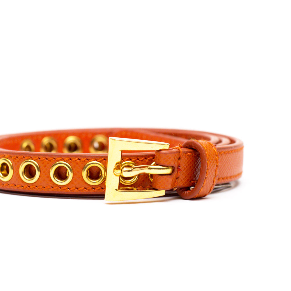 Orange Skinny Eyelet Embellished Belt 3