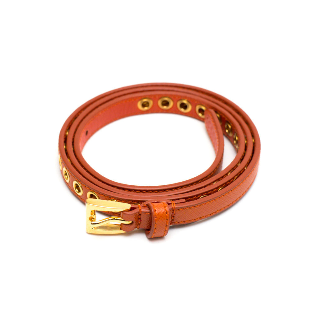 Orange Skinny Eyelet Embellished Belt 4