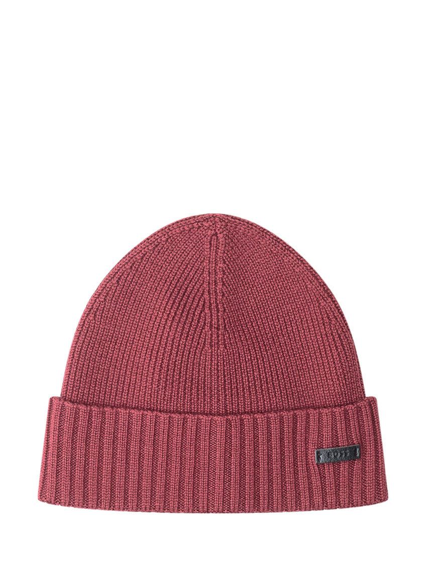 Red Logo Beanie Hat 1