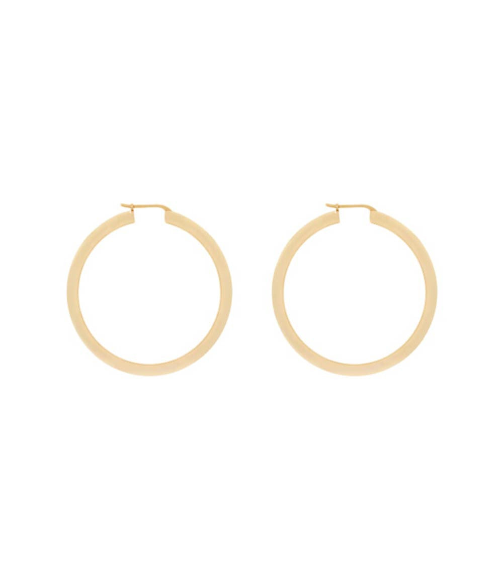 Golden Hoop Earrings 1