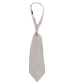 Grey Polka Dot Ascot Tie 1