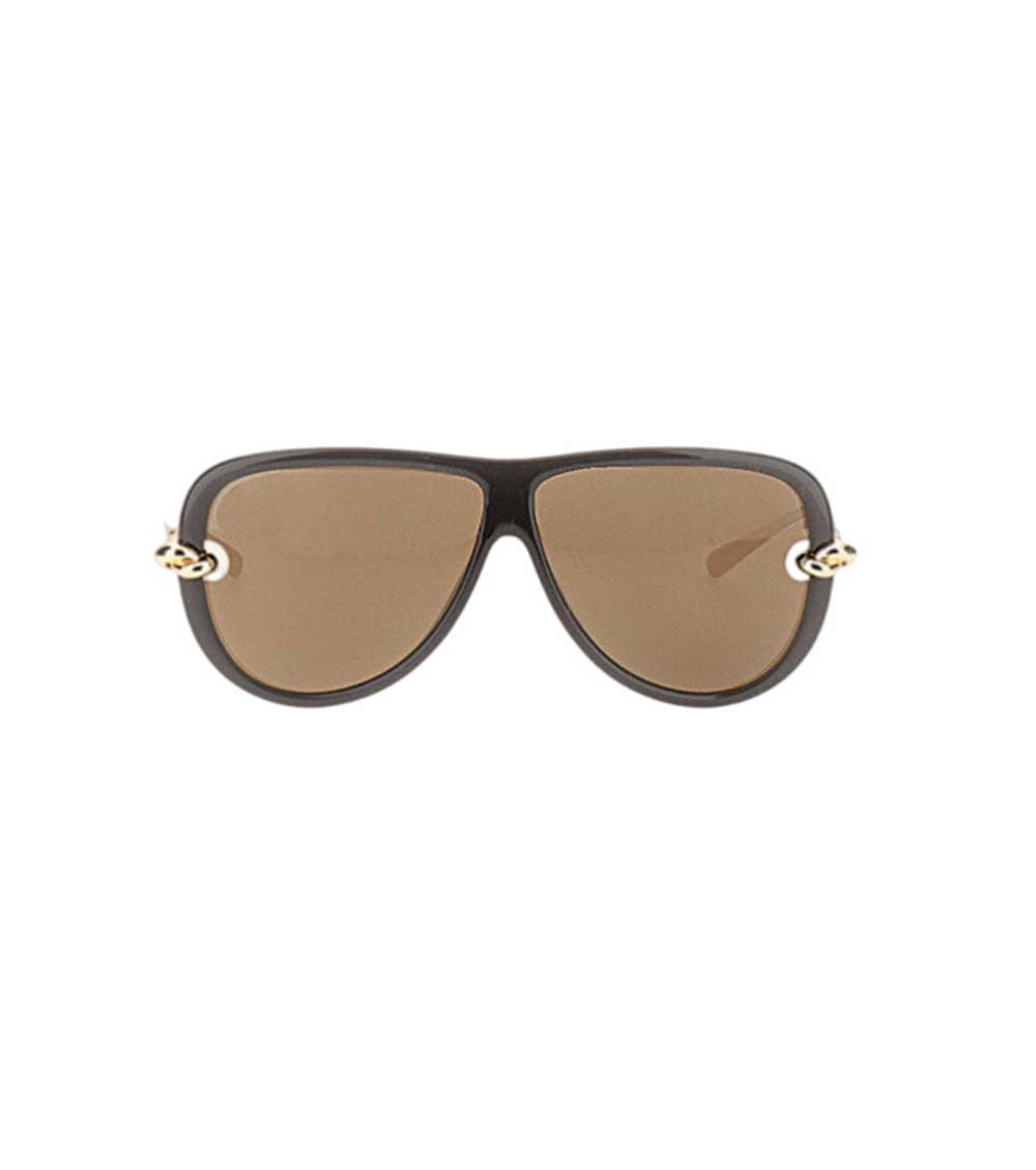 Dark Brown Aviator Sunglasses 1