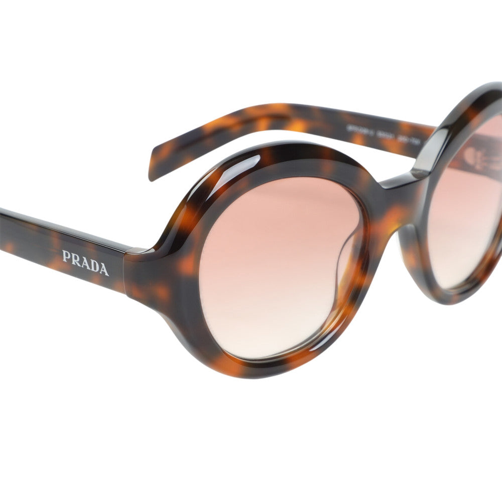 Brown Havana Round Sunglasses 3