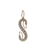 Golden S-Shape Drop Single Earring 1
