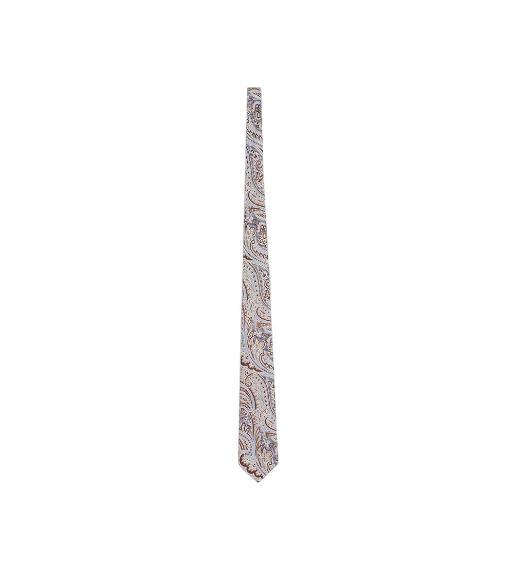 Multicolor Paisley Tie 2