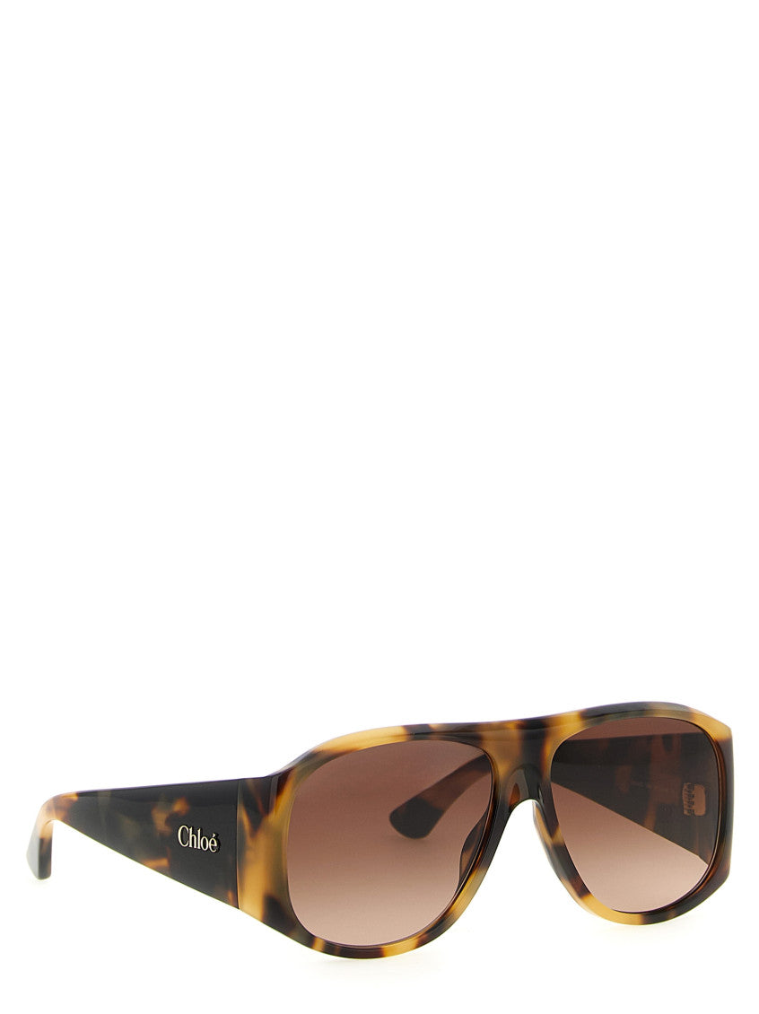Brown Havana Square Sunglasses 3