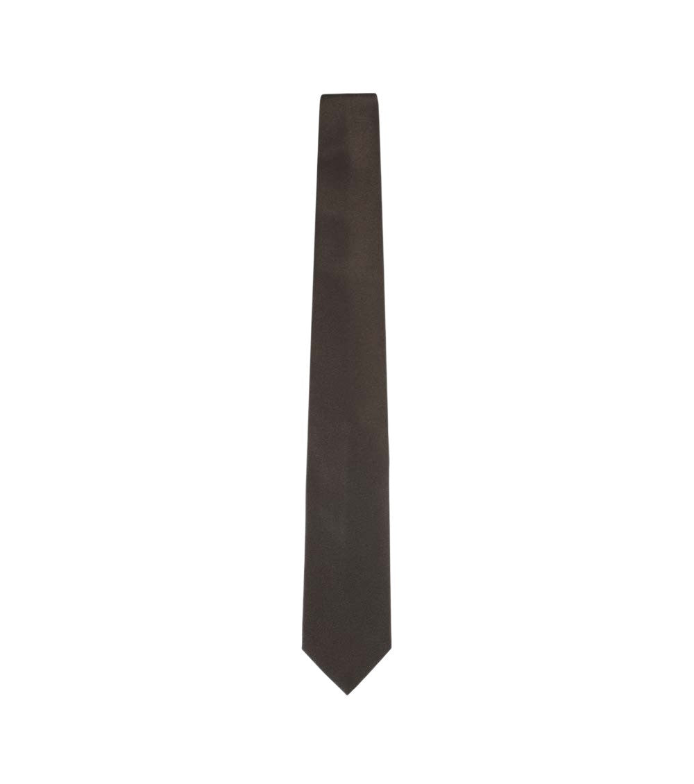 Brown Solid Tie 2