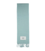 Aqua Solid Scarf 1