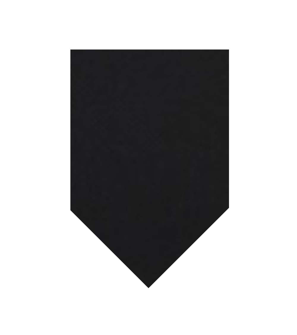 Black Silk Tie 1