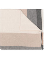 Beige Striped Scarf 1