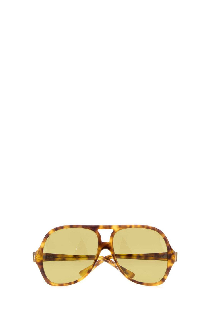 Brown Havana Oversized Sunglasses 2
