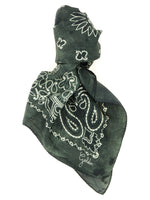 Green Golden Paisley Scarves 1