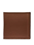 Brown Logo Scarf 1