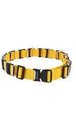 Yellow Logo Belt 1