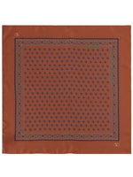 Brown Printed Scarf 1