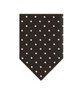 Brown Polka Dot Tie 1