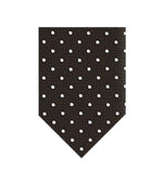Brown Polka Dot Tie 1
