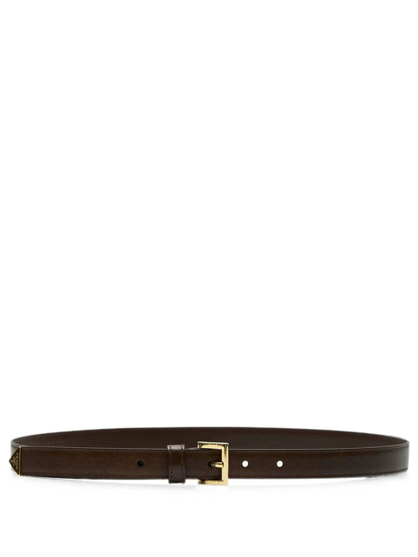 Dark Brown Solid Belt 1