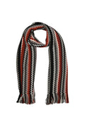 Multicolor Signature Chevron Scarf 1