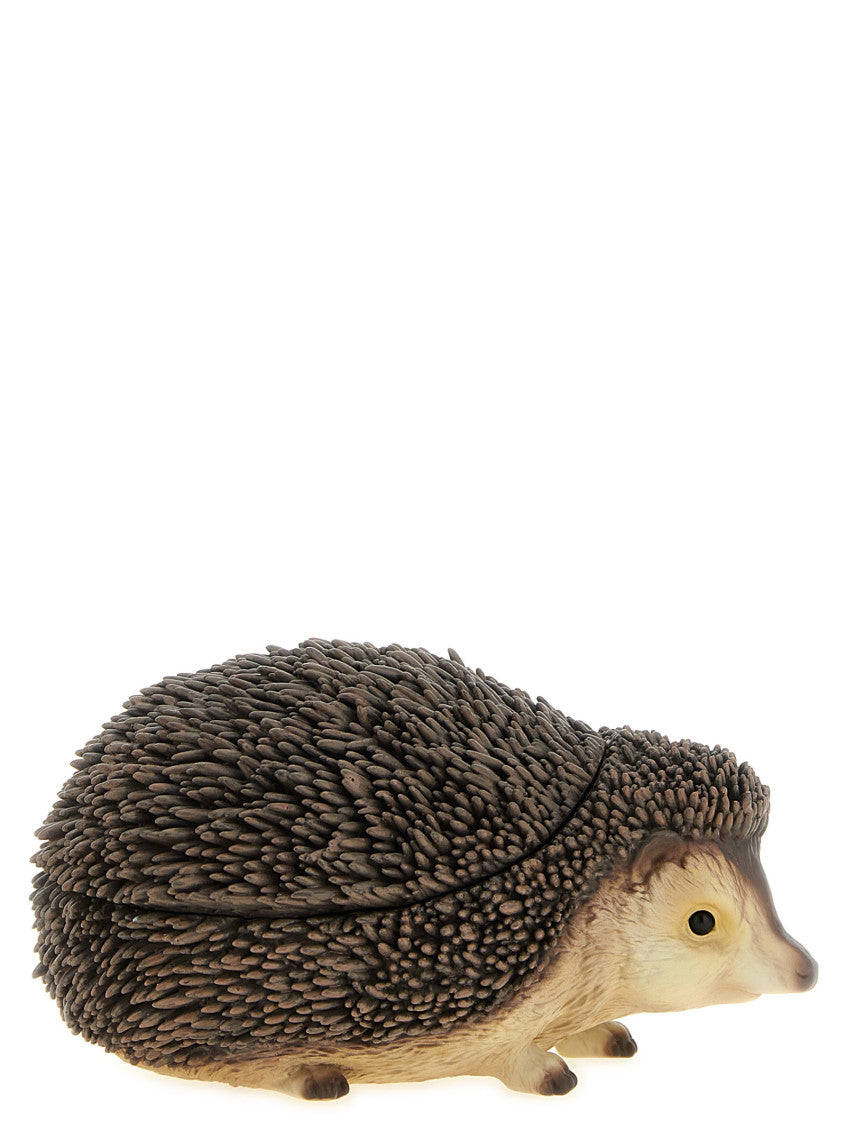 Brown Hedgehog Clutch 1