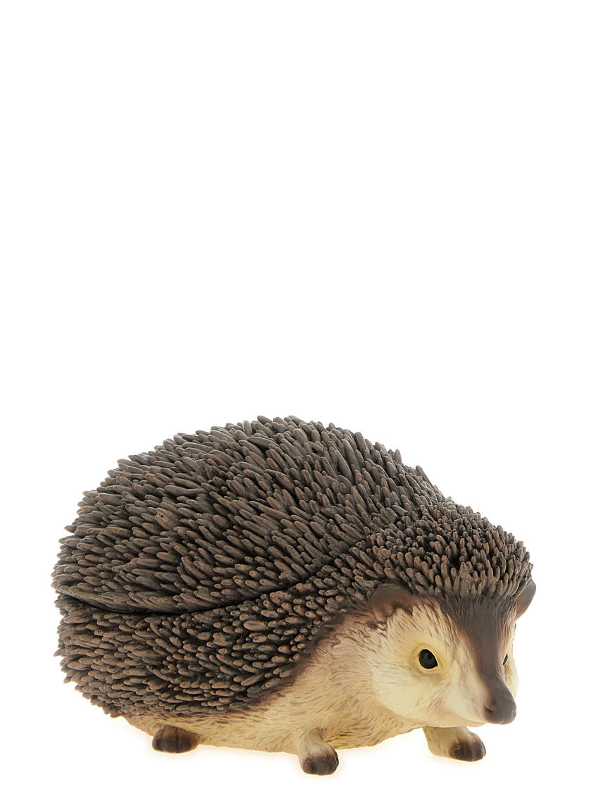 Brown Hedgehog Clutch 3