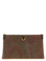 Brown Arnica Clutch 1