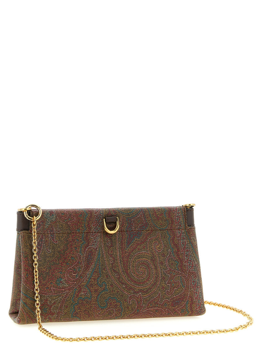 Brown Arnica Clutch 2