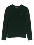 Boys Dark Green Polo Pony Knitted Sweaters 1