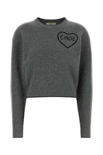 Grey Logo Crew Neck Sweater 1