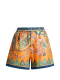 Multicolour Printed Shorts 1