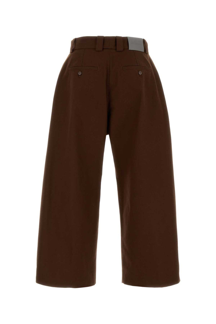 Brown Loose Pleated Pants 2