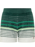 Multicolor Stripes Shorts 1
