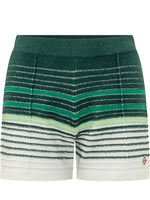 Multicolor Stripes Shorts 1
