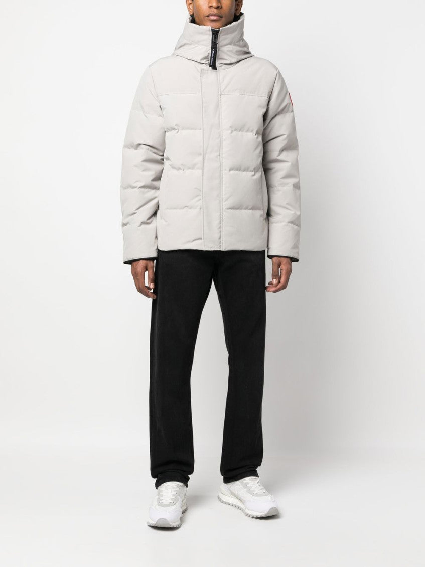 Limestone Grey Hooded Jacket 2